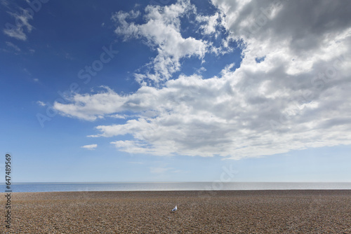 Lone Bird On An Empty Beach With Blue Sky And Cloud Over The Ocean; Aldeburgh, Suffolk, England