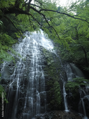 岩肌を流れ落ちる滝の水