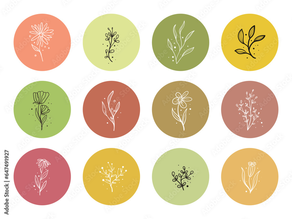 Hand drawn set of floral elements, flower, leaves. highlight icon Hand drawn set of floral elements, flower, leaves. highlight icon