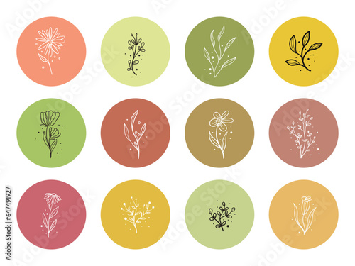 Hand drawn set of floral elements, flower, leaves. highlight icon