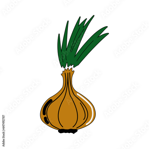 onion