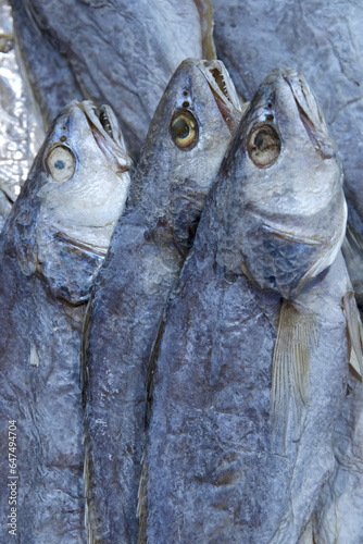 Three Dried Bluefish (Pomatomus Saltatrix) In Wet Market; Hong Kong, China photo