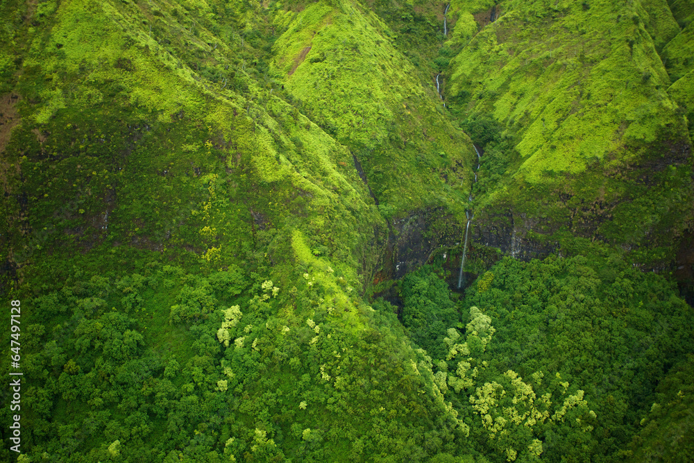 Aerial view of a stream flowing through a lush green landscape; Hawaii united states of america Aerial view of a stream flowing through a lush green landscape; Hawaii united states of america