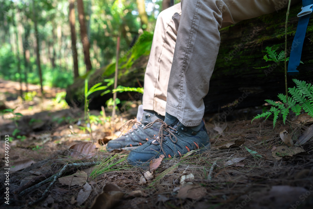 Closeup of male hiker trekking shoes on their adventure in forest. Closeup of male hiker trekking shoes on their adventure in forest.