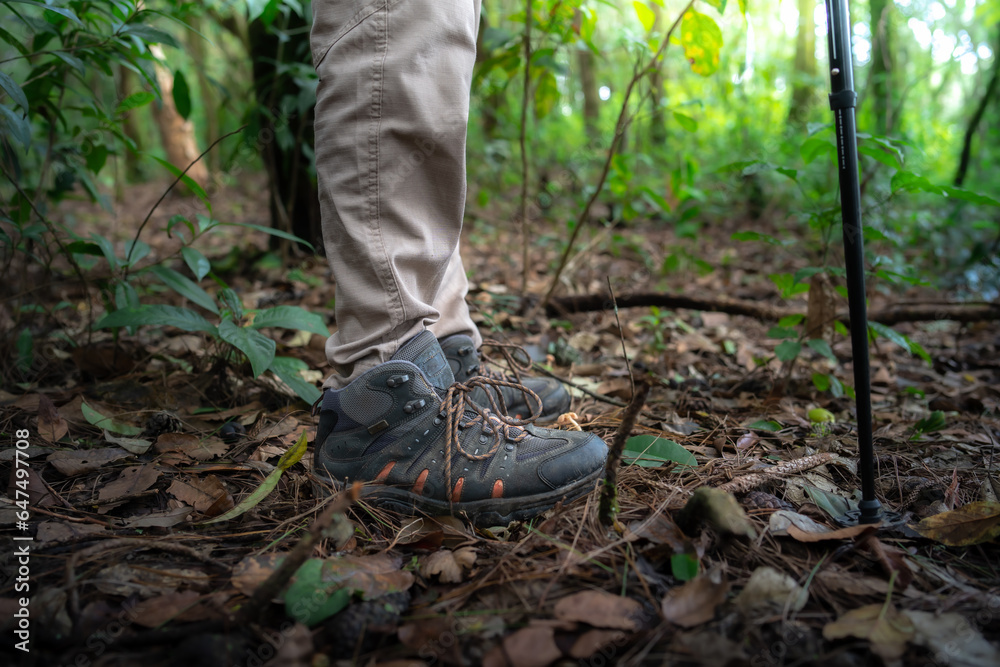 Close up shoe,Hikers standing in forest. Close up shoe,Hikers standing in forest.