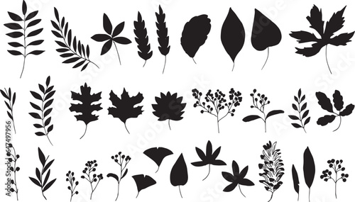 秋の植物ベクターイラスト。秋の紅葉と木の実の背景セット。可愛い落ち葉のベクターイラスト。Autumn plants vector illustration. Autumn leaves and nuts background set. Cute falling leaves vector illustration.