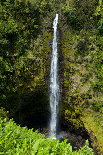 Akaka Falls; Big Island, Hawaii, United States Of America photo