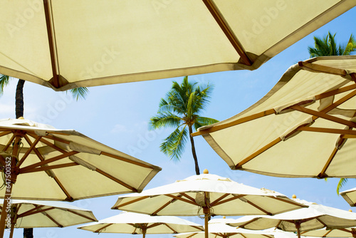 Hawaii, Kauai, A Group Of Umbrellas On The Beach. photo