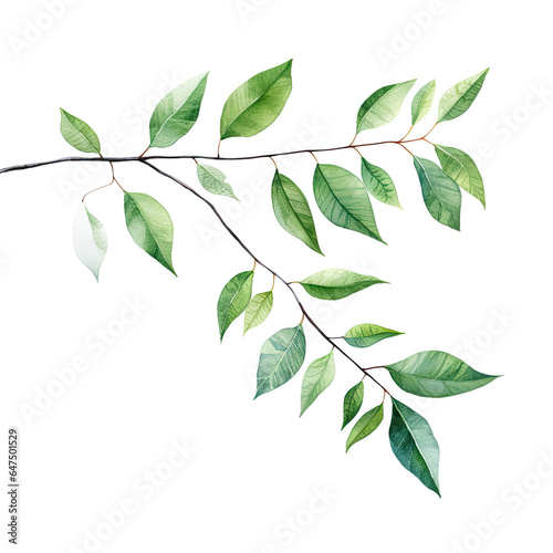 A vibrant branch with lush green leaves