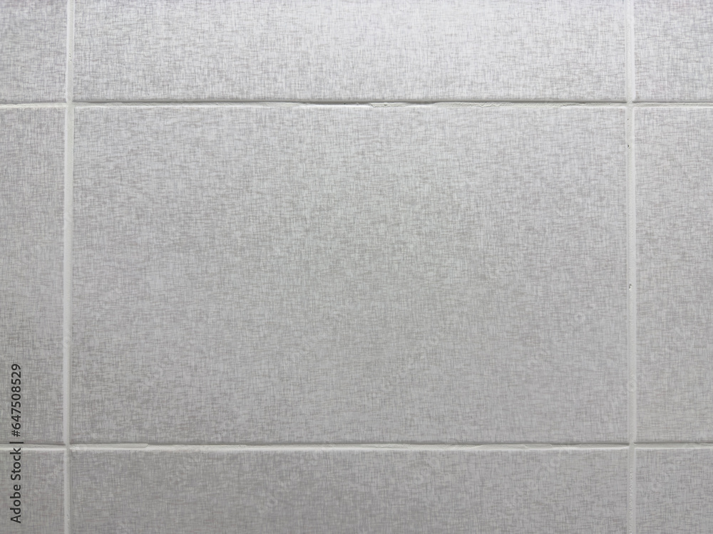Fototapeta premium wall tile background