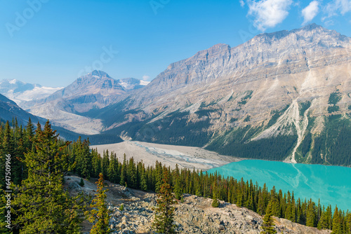 Turquoise Peyto Lake and Peyto Glacier on the far left, Banff national park, Canada.