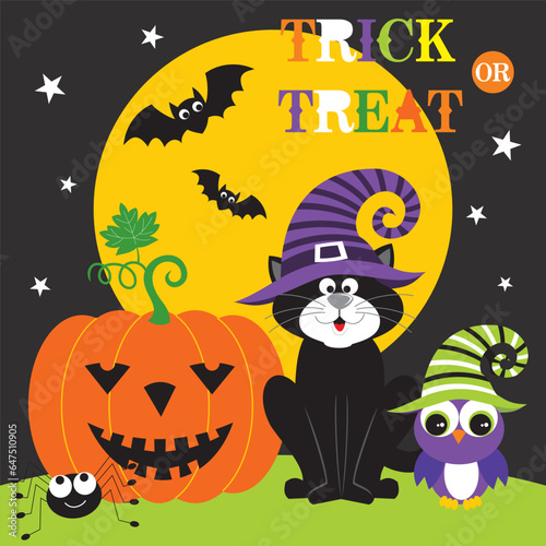 halloween background with pumpkin. cat and owl