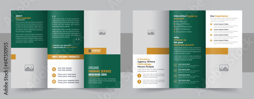 Lawn Care Trifold Brochure Template layout, Gardening, Landscaper or Agro firming services Tri fold Brochure Design