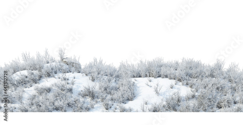 Snow on the ground with many grasses and plants on transparent background © jomphon