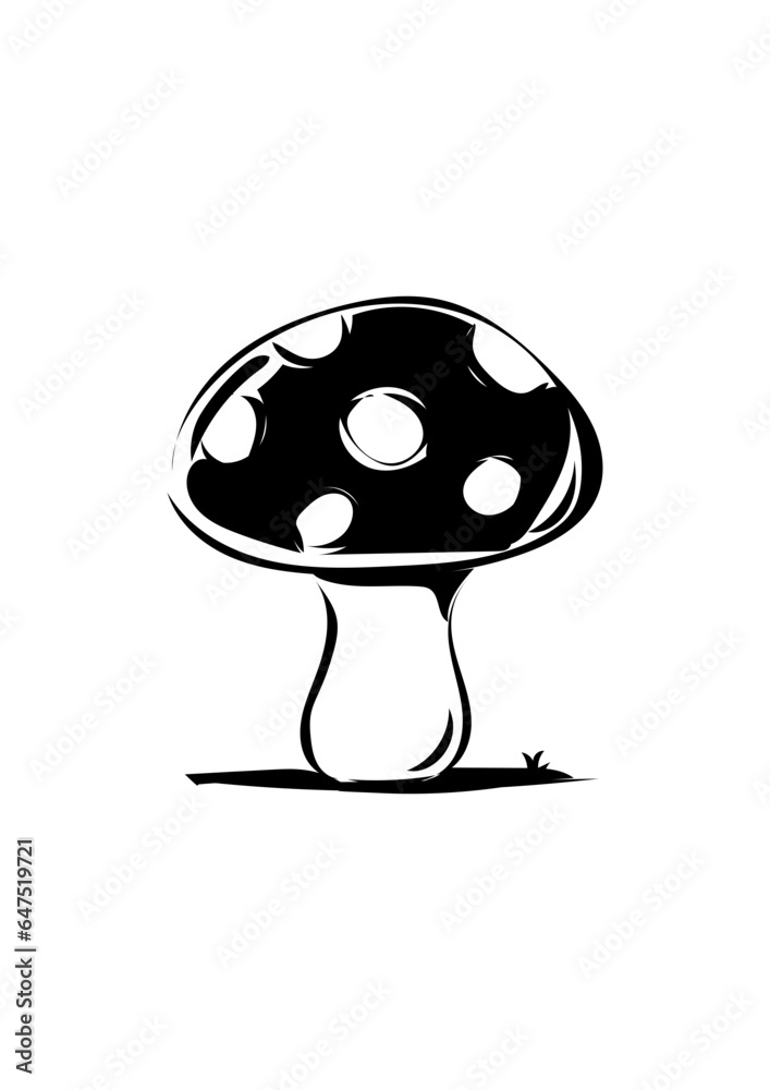 Fliegenpilz Fliegenpilz