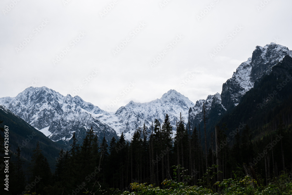 Obraz premium Snowy mountains, green forests In National park Zakopane Poland. Mountain nature landscape. Blue sky. Travel outdoors green tourism concept Naturecore. Hiking wellbeing 