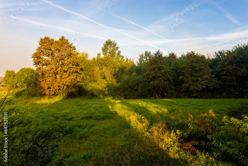 Peaceful morning at county side
