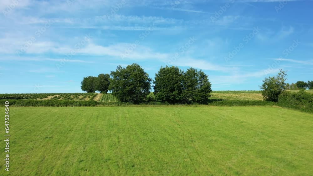 The bucolic landscape with its forest massifs and its plowed lands in Europe, in France, in Burgundy, in Nievre, towards Chateau Chinon, in summer, on a sunny day. The bucolic landscape with its forest massifs and its plowed lands in Europe, in France, in Burgundy, in Nievre, towards Chateau Chinon, in summer, on a sunny day.