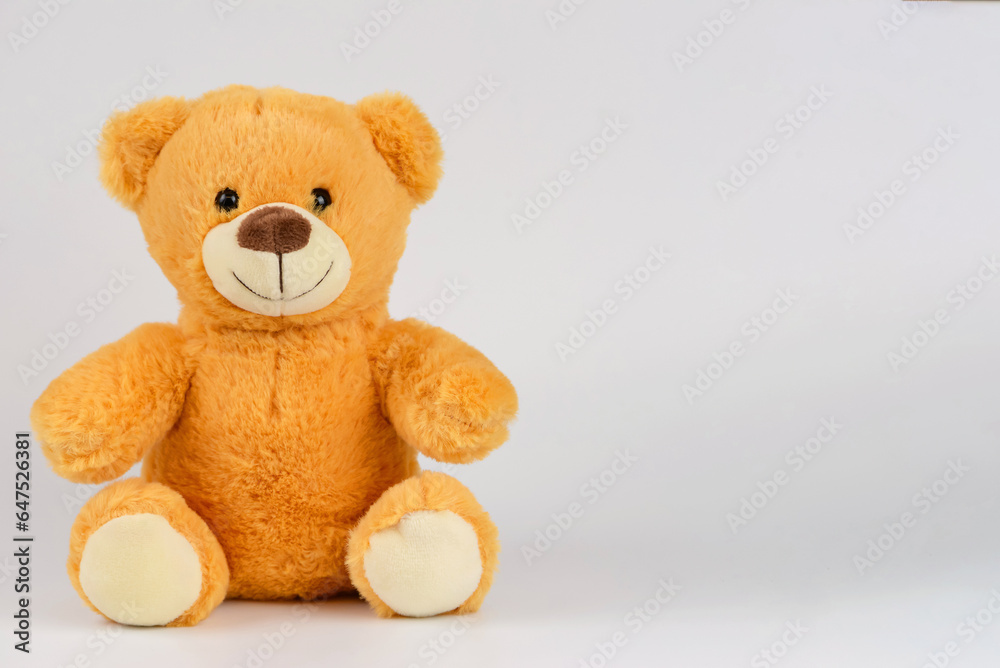 Obraz premium teddy bear with cup on white background