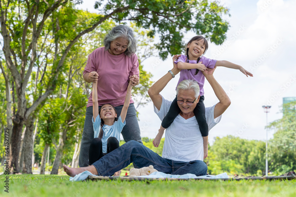 Obraz premium Grandparents let their granddaughter sit on their shoulder in the park. People of different generations laugh happily in the park on the mats.
