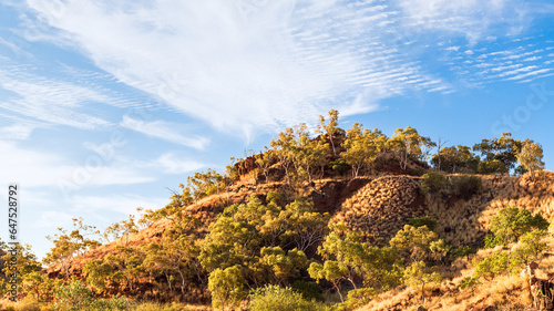 Cuadro en lienzo A rehabilitated hill and tailings at an old uranium mine in Queensland, Australia