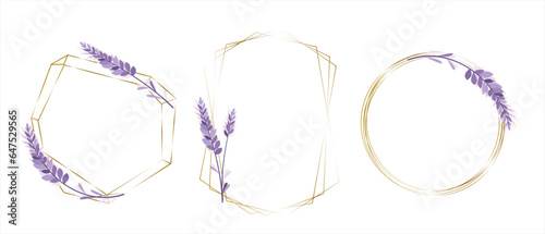 Floral Collection. A set of frames for wedding design. Lavender, gold frames. Cute lavender sprigs in monochrome purple color. . Vector illustration