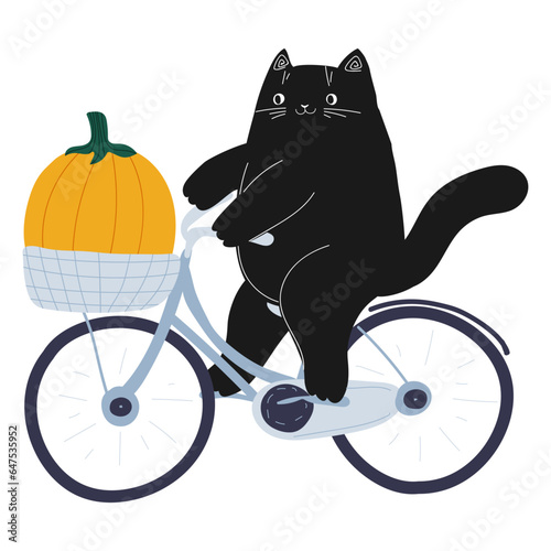 Halloween black cat on bicycle with pumpkin. Cartoon cat character. Kitten on a bike. Harvest festival. Stock vector flat cartoon illustration on a white background.