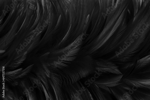 Beautiful black color bird feathers pattern texture background.