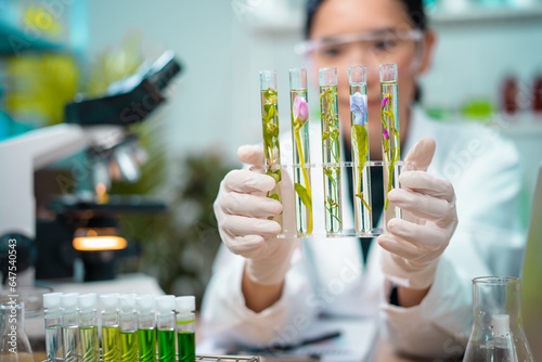 Asian woman scientist plant science laboratory research, biological chemistry test, green nature organic leaf experiment in test tube. photo