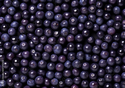 Professional photography of Pattern of Bilberries fruits. Genera © Razvan