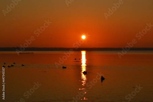 Sunset on the lake. Ducks swim on the lake against the background of sunset.