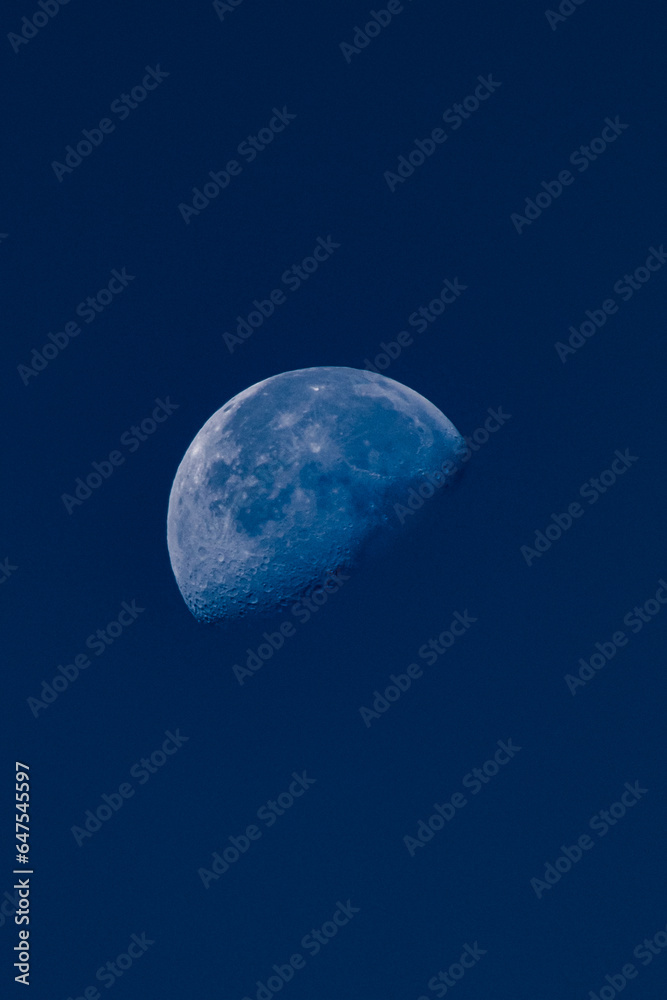 Moon Moon