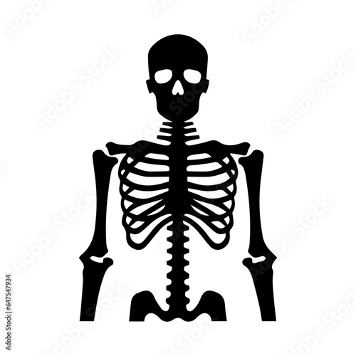 human skull with skeleton illustration isolated on white background