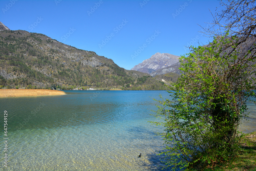 Obraz premium Spring at Lago Cavazzo lake in Carnia, Udine province, Friuli-Venezia Giulia, north east Italy