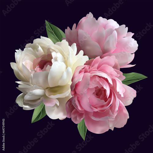 White and pink peony flower isolated on a black background. Bouquet of flowers. Green leaves. Vector realistic floral decor, 3d illustration. Peony blossom.