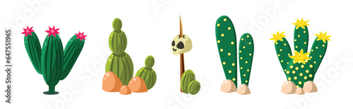 Cactus Plant Growing as Prickly Desert Flora Vector Set