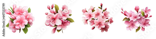 Blossoming Flowers clipart collection  vector  icons isolated on transparent background