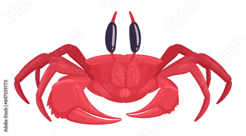 Cartoon crab. Cute marine animal with claws, ocean underwater fauna flat vector illustration on white background