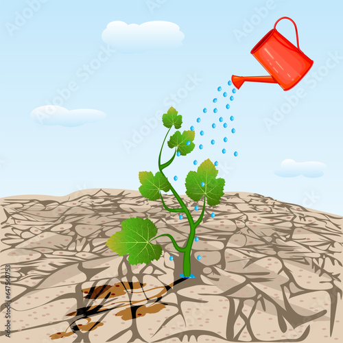 Dry cracked land with plant sprout and watering can.Young tree growing on arid ground.Watered plant in dry desert soil from watering can.Land degradation,water shortage and drought.Concept of new life