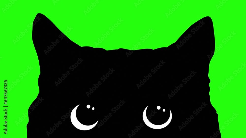 black cat peaking adorable cute 2d animation green screen 4k