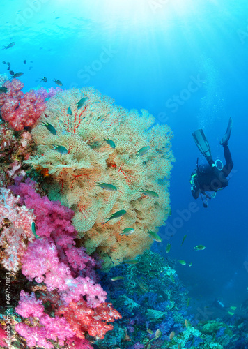 Young woman scuba diver diving pass beautiful gorgonian sea fan and soft coral on a tropical coral reef in clear underwater world with sun rays, Similan national park, North Andaman, Thailand