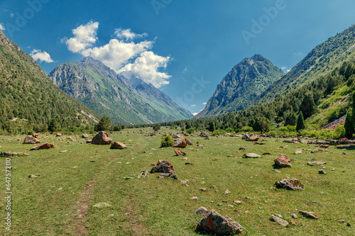 rocks in the mountains