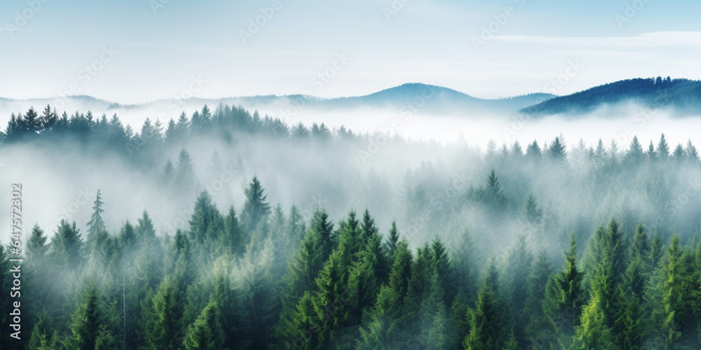 Generated by AI. Forest. Morning in Haze Generated by AI. Forest. Morning in Haze