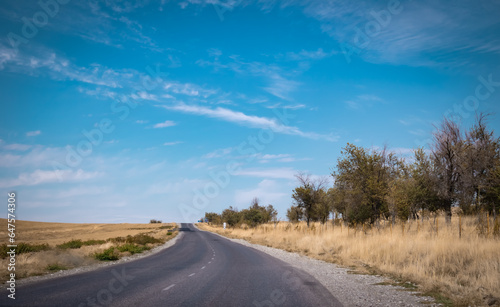 road in the morning, road with Mountain, Kazakhstan road and nature. High quality photo