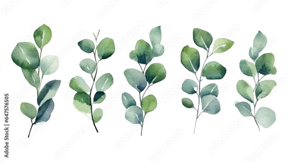 Obraz premium Set collection vector illustration watercolor green leaves with isolated white background