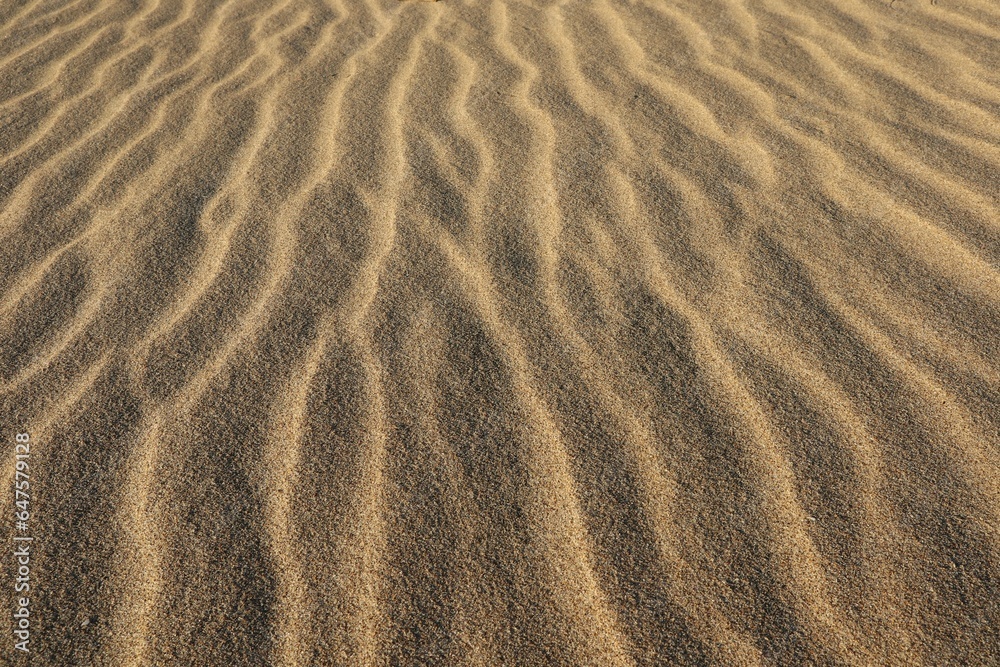 Fototapeta premium sand ripples on the beach