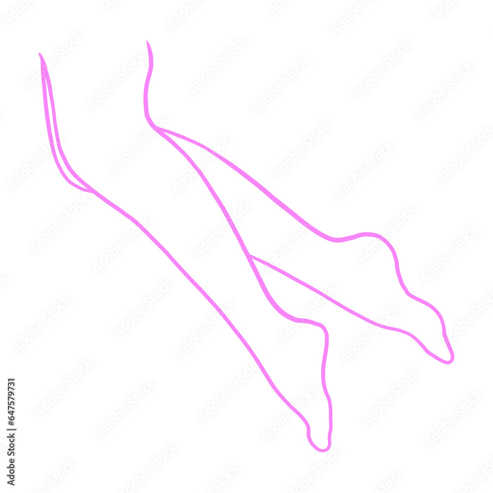 Fototapeta premium Woman Legs Outline