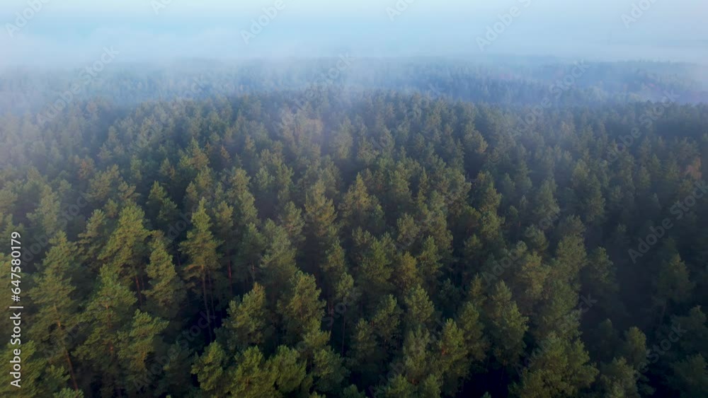 High Pines in Fog Wonderful Morning Sunrise Natural Landscape. Aerial View of Sunrise Over Misty Morning Forest Flight. Flying Over Foggy Green Pine Trees. Epic Amazing Majestic Nature Landscape. High Pines in Fog Wonderful Morning Sunrise Natural Landscape. Aerial View of Sunrise Over Misty Morning Forest Flight. Flying Over Foggy Green Pine Trees. Epic Amazing Majestic Nature Landscape.