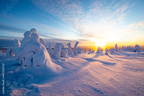 winter landscape with snow