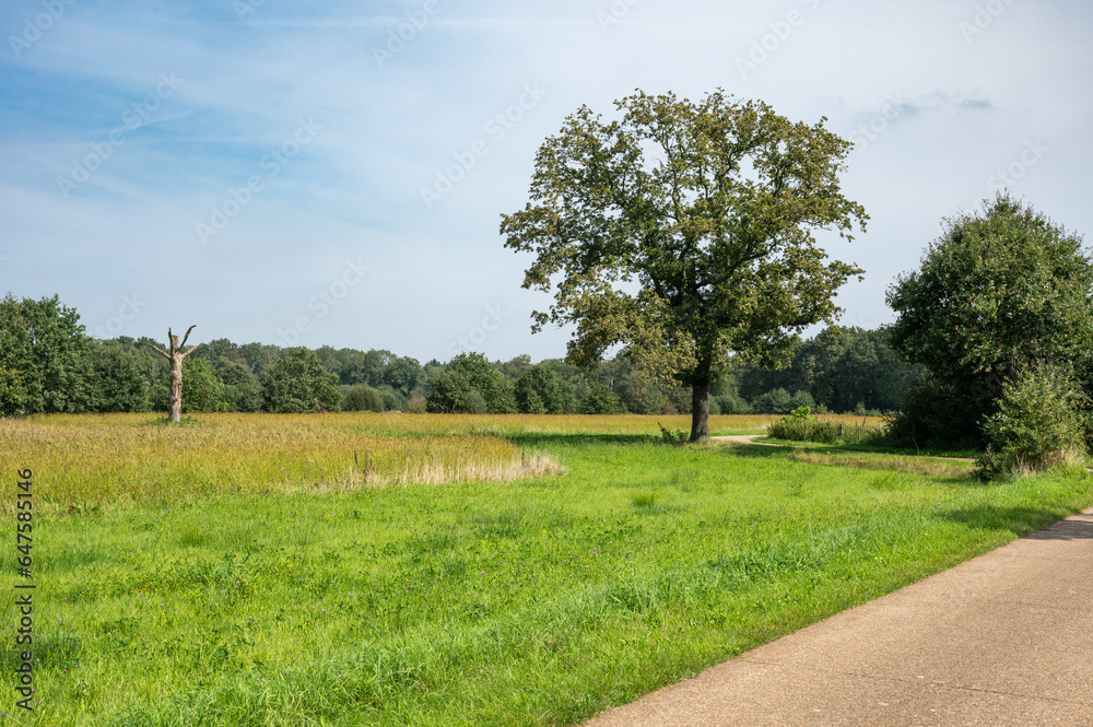 Walking path through the green park of the coal mine site of Beringen, Belgium